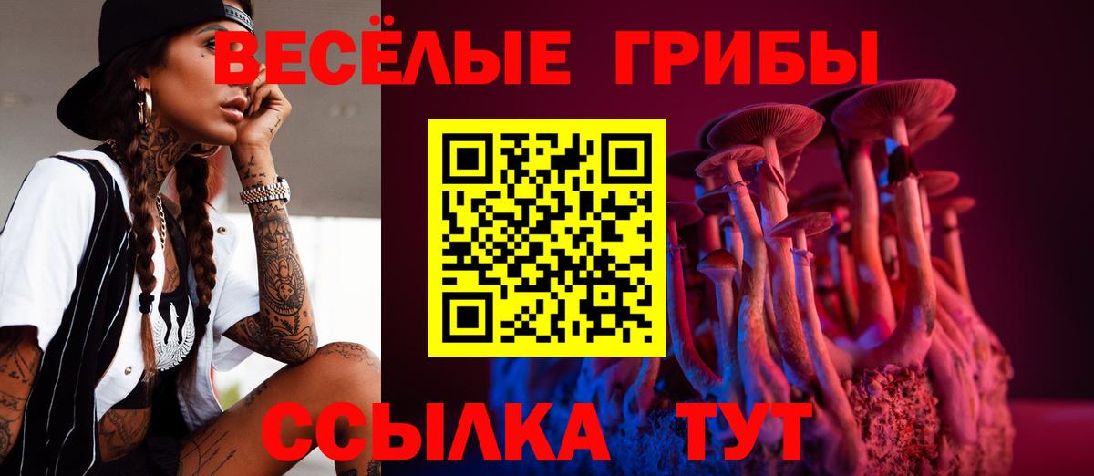 где продают   Псилоцибиновые грибы Magic Shrooms  Вход с VPN  Псилоцибиновые грибы прущие грибы  Аксай 